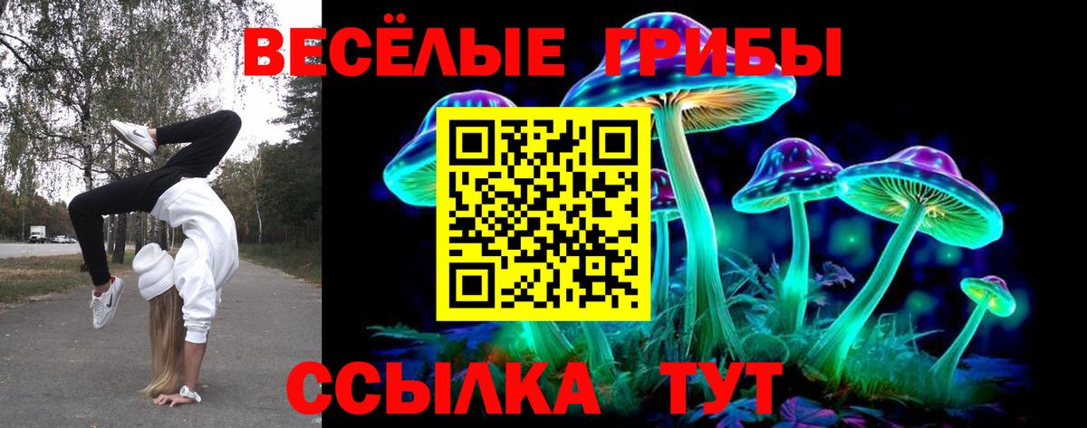 Псилоцибиновые грибы мухоморы Таганрог