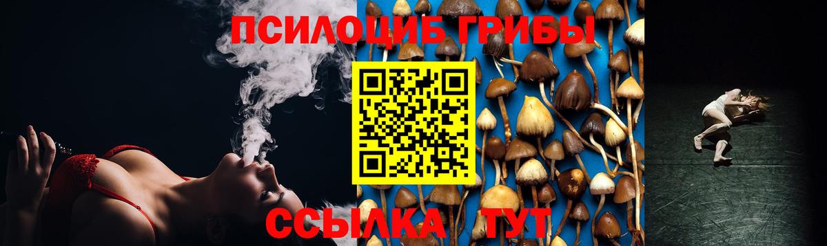 Псилоцибиновые грибы MAGIC MUSHROOMS  Вход с VPN  Таганрог 